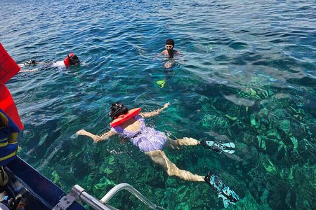 Roatan Jungle Top Zip Line, Wildlife Eco-Park and Snorkel