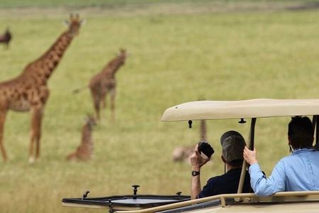 Akagera National Park 1 day Safari Experience