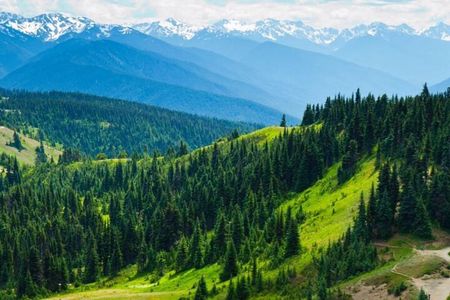 Small Group Olympic National Park Day Tour from Seattle 2CanGo