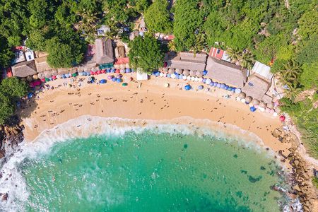 Private Tour to Carrizalillo Mirador Turtles and Release Turtles