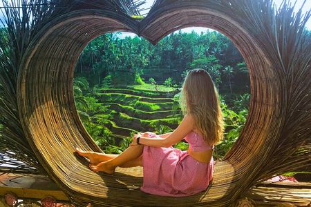 Bali: Swing Heaven, Monkey Forest and Waterfall Guided Tour