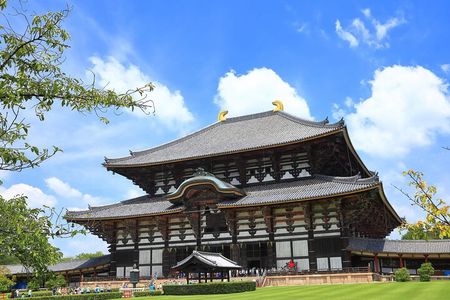 Kiyomizu Temple, Fushimi Inari Taisha and Nara Park Day Tour