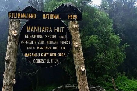 Mount Kilimanjaro Day Hike Up to Mandara Hut