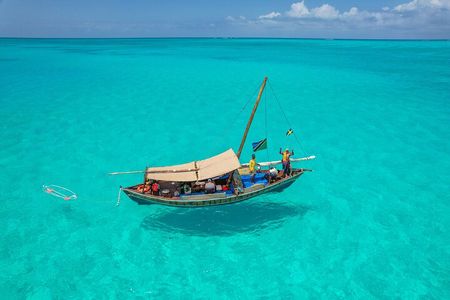 Private/Sharing: Snorkeling with Dolphins Sandbank in Mnemba