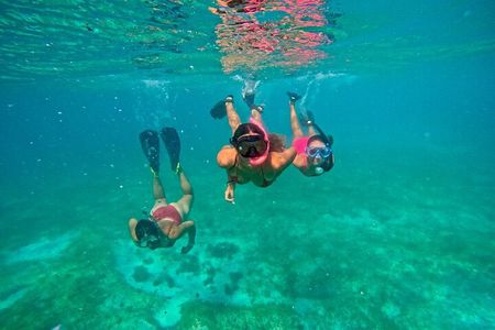 Fajardo, Puerto Rico: Morning Snorkeling Beach Tour