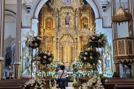 3 Hours Private Walking Tour in Casco Antiguo Panama City