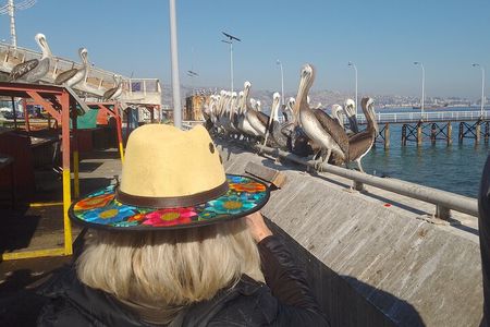 Tour to the markets of Valparaiso