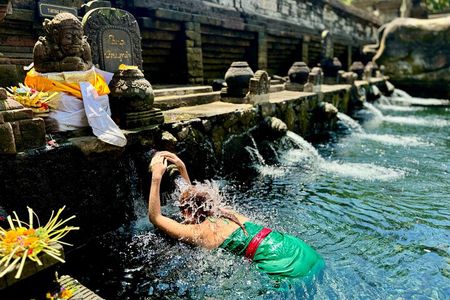 Ubud Tegalalang Private Car Tour