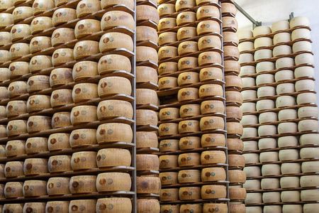 Parmesan Cheese Factory Near Modena Tasting And Tour