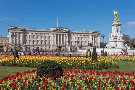 Changing of the Guard at Buckingham Palace Experience