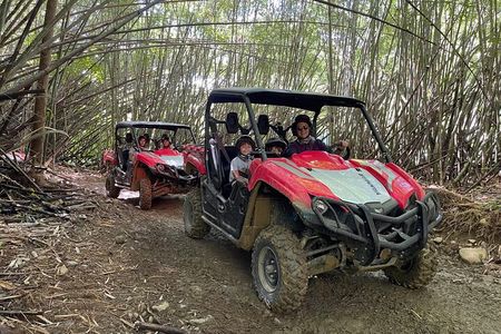 Puerto Rico El Yunque Rainforest UTV for 2 to 4 PERSON 