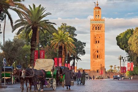 Private day trip Marrakech from Casablanca lunch free camel ride