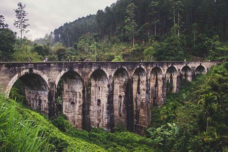 Ella Day Tour with Train Ride from Colombo or Negombo