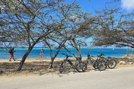 The Spanish Lagoon-Gold Mills & Nature Heritage E-Bike Aruba