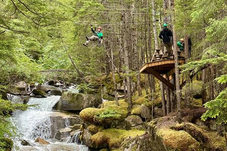 Grizzly Falls Ziplining Expedition