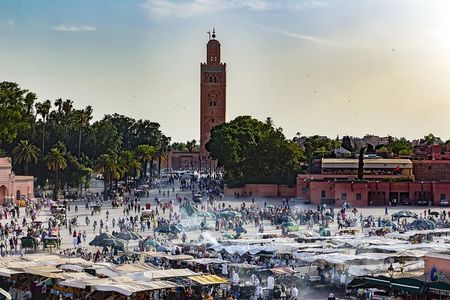 Marrakech Day Trip: Camel Ride, Medina & Palaces from Casablanca