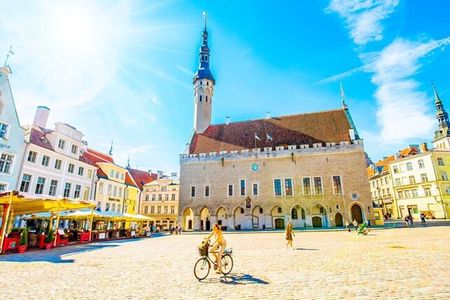 Cruise-Friendly 5 Hour Tallinn Tour including Free Time