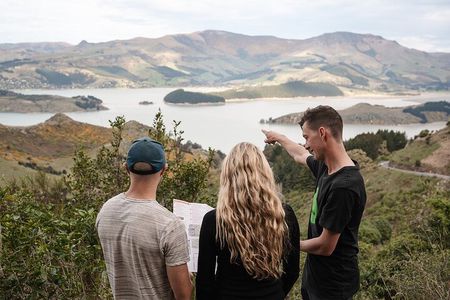 Christchurch Highlights Tour (Full Day Private)