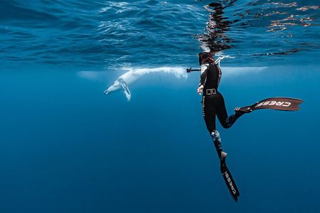 Private tour whale watching and snorkeling in Moorea