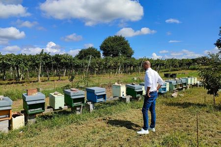 Beekeeping Farm Tour and Tasting Experience in Lazise