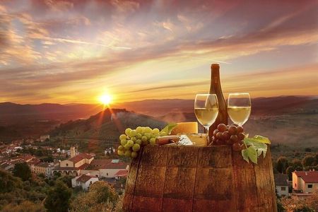Special Chianti Afternoon Wine Tour from Florence
