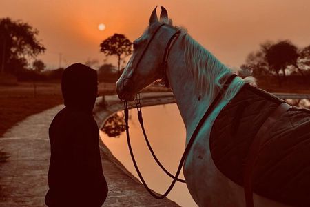 2 Hour - Horseback Ride Across Desert and Sea in Hurghada