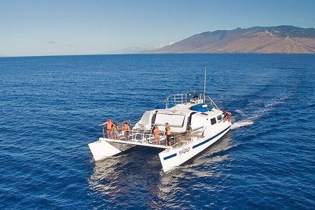 Molokini or Coral Gardens PM Snorkel Aboard Malolo