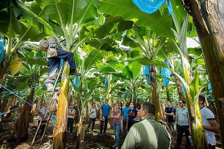 Puerto Limon 6 in 1 Highlights Tour 