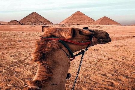Giza Pyramids private trip With entering Pyramid and Camel ride 