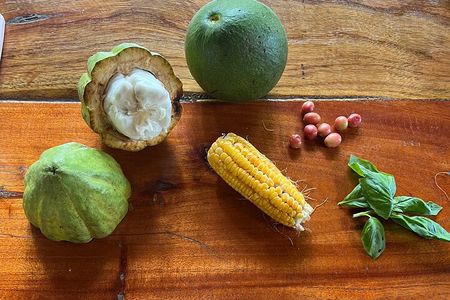 Farm to Table Cooking Class 