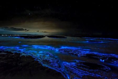 Bioluminescent Bay Adventure in Grand Cayman