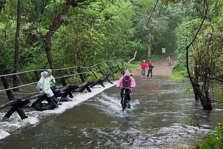 Cat Tien National Park 2-Day Tour: Biking, Trekking, Safari Night