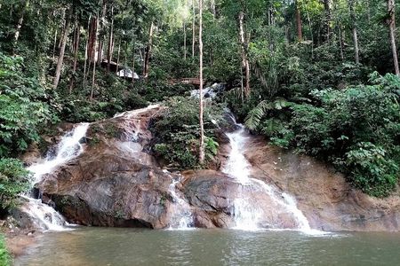 Rainforest-Cascading Waterfall, Batu Cave,Hotspring(Private Tour)