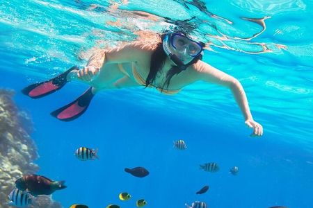 Private Abu Dabbab Over Day Snorkeling with Turtles - Hurghada