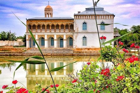Bukhara Countryside Tour with Traditional Lunch & Transport