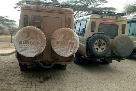 Full- Day Trip to Tarangire National Park From Arusha
