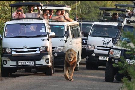 Maasai Mara Day Trip From Nairobi