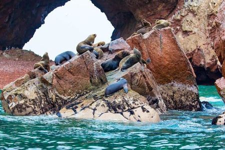 1 day tour to Ballestas Islands and Paracas National Reserve