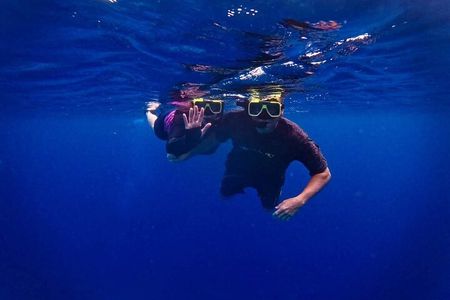 Underwater Guided Snorkeling Adventure in Bonaire