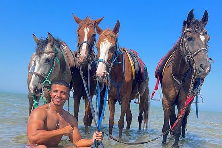 Hurghada: Arabian Desert and Sea Horseback Adventure
