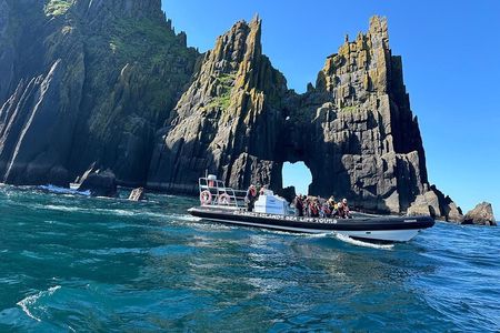 Blasket Island Sea Life Rib Tour,
