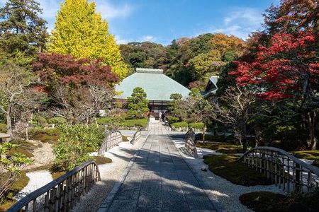 Private Tour in Kamakura: Matcha Tea Tasting & Photo Session