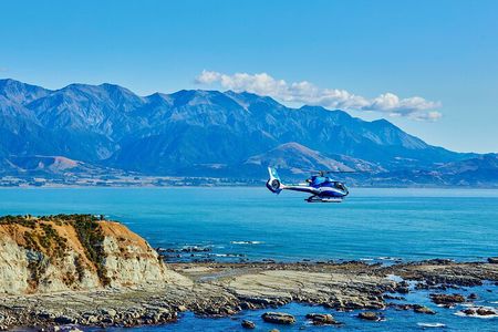 Whale Watching Ultimate Adventure Tour Kaikoura 1 hour 20 min