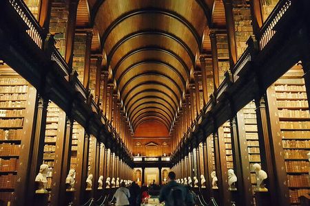 Dublin Book of Kells, Castle and Molly Malone Statue Guided Tour