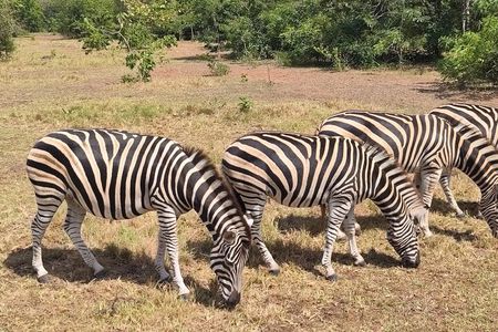 Accra Safari and Boat Cruise - Full Day Private Tour