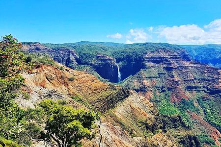 Kauai Island Private Guided Tour-Waimea Canyon from Poipu/Koloa