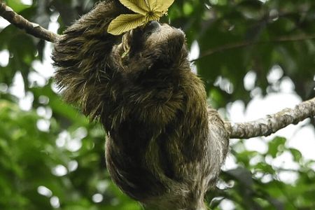 Manuel Antonio National Park *Group tour/Park ticket NOT included