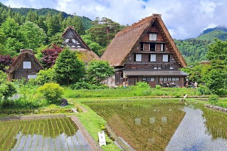 1-Day Shirakawago & Takayama Tour (Round Trip from Kanazawa)