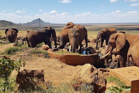2 days 1 Night Tsavo East Private Safari from Diani beach