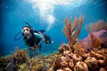 Discover Scuba Diving Adventures in Jumeirah Dubai
